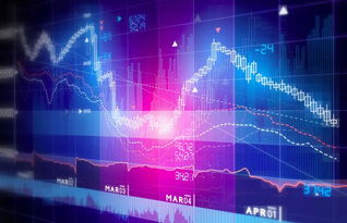 二级市场的含义及其在网络技术服务中的应用